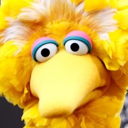 Caroll “Big Bird” Spinney was originally to be on NASA’s doomed ...